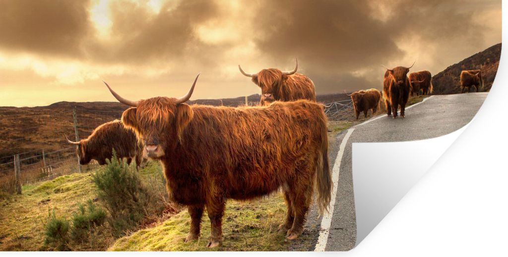 MuchoWow Wandtattoo Wandsticker Wandaufkleber Schottische Highlanders - Himmel - Straße 40x20 cm Selbstklebend und Repositionierbar - Aufkleber