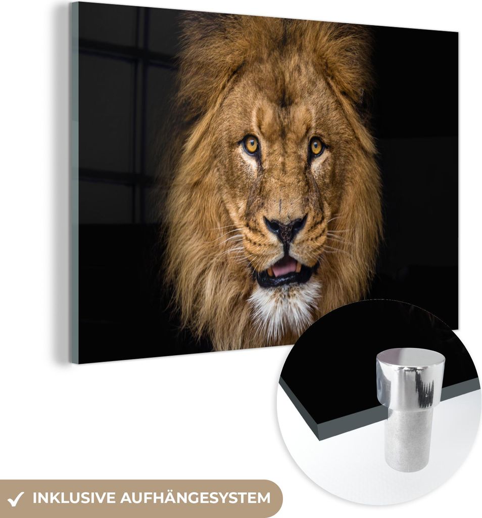 MuchoWow Glasbilder - Bilder auf Wandbild - Foto auf Glas Löwe - Porträt - Schwarz - Tiere 120x80 cm Wanddekoration aus Glas - Acrylglasbild - Ac...