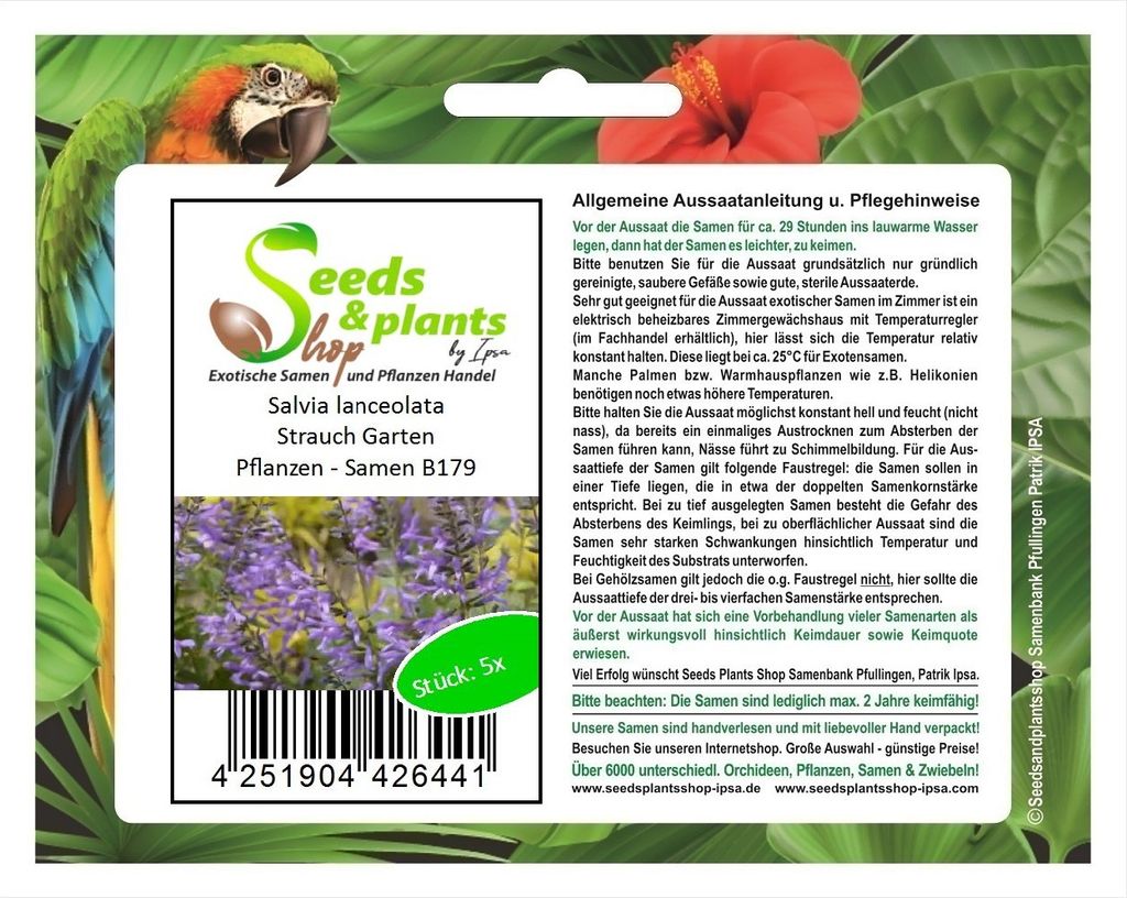 5x Salvia lanceolata Strauch Garten Pflanzen - Samen B179