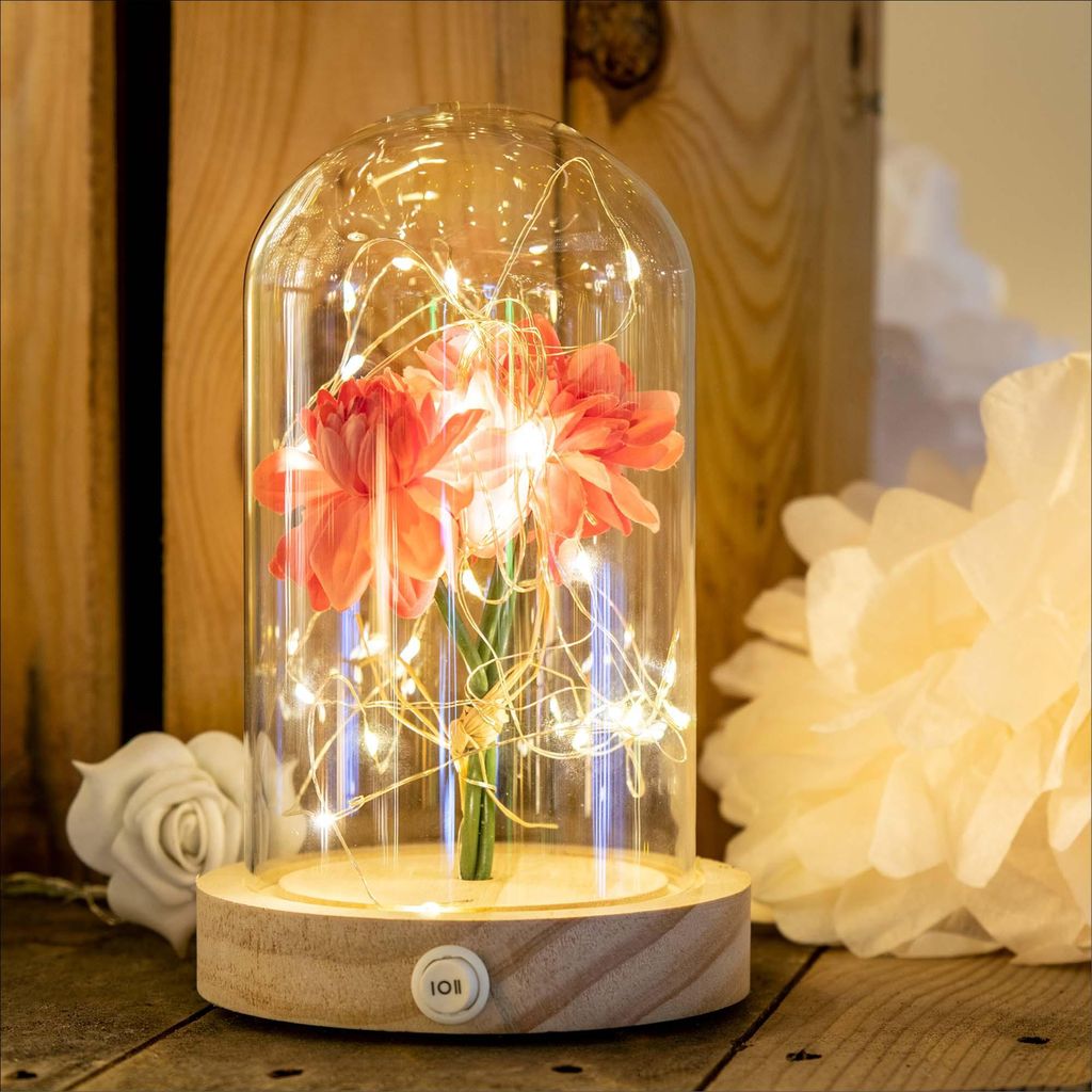 Glasglocke mit LED Lichterkette und Holzboden, abnehmbare Kuppel, 30 LEDs, Timer 523713