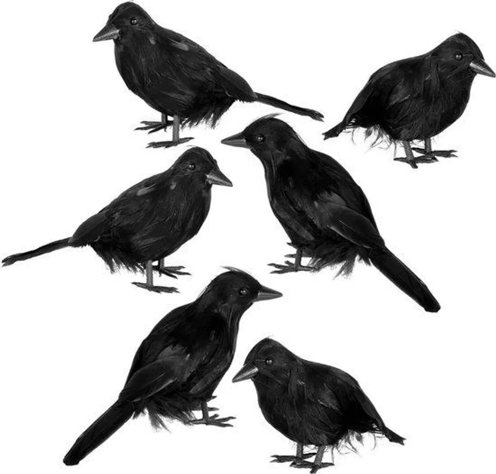 Déco Halloween 6 Faux Corbeaux - Réalistes pour Murs Arbres Fenêtres Noir