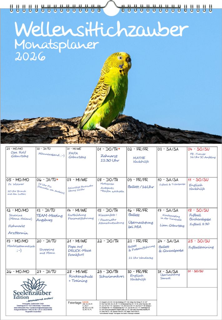 Wellensittichzauber Planer DIN A3 Kalender für 2026 Wellensittiche - Seelenzauber