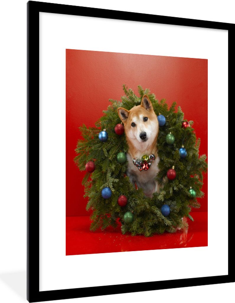 MuchoWow MuchoWow Gerahmtes Poster Shiba-Hund mit einem Weihnachtskranz 60x80 cm - Poster mit zchwarzem Bilderrahmen - Wohnzimmer - Dekoratione...