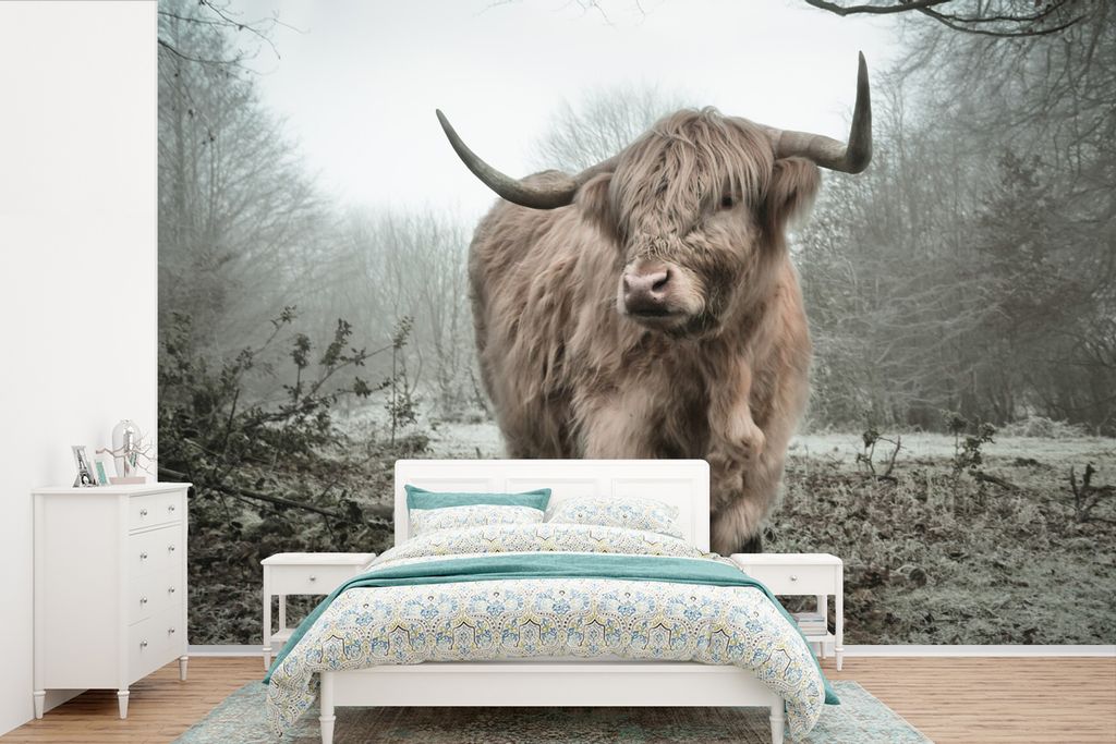 MuchoWow Fototapete für Wohnzimmer oder Schlafzimmer Wandtapete Vinyl Motivtapete Schottische Highlander - Natur - Herbst - Tiere - Wildtiere - ...