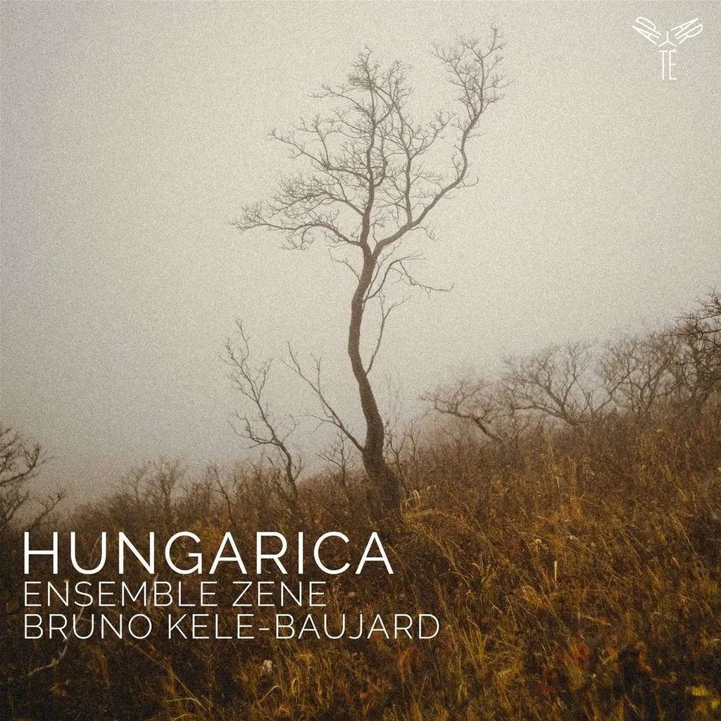 Musique d'ensemble Zoltan Kodaly Hungarica Édition Audio Haute Fidélité