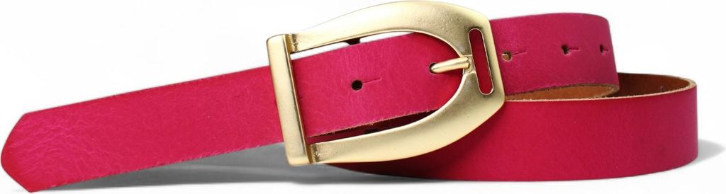 FRONHOFER Toller Damengürtel mit Schnalle in mattgold, 2,7 cm