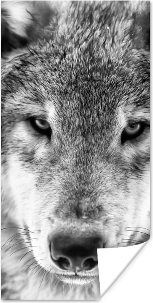 MuchoWow Poster Tierprofil Wolf in schwarz und weiß 60x120 cm - Wandschmuck