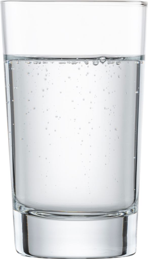 SCHOTT ZWIESEL ALLROUND BAR SPECIAL 4 Stück 123636