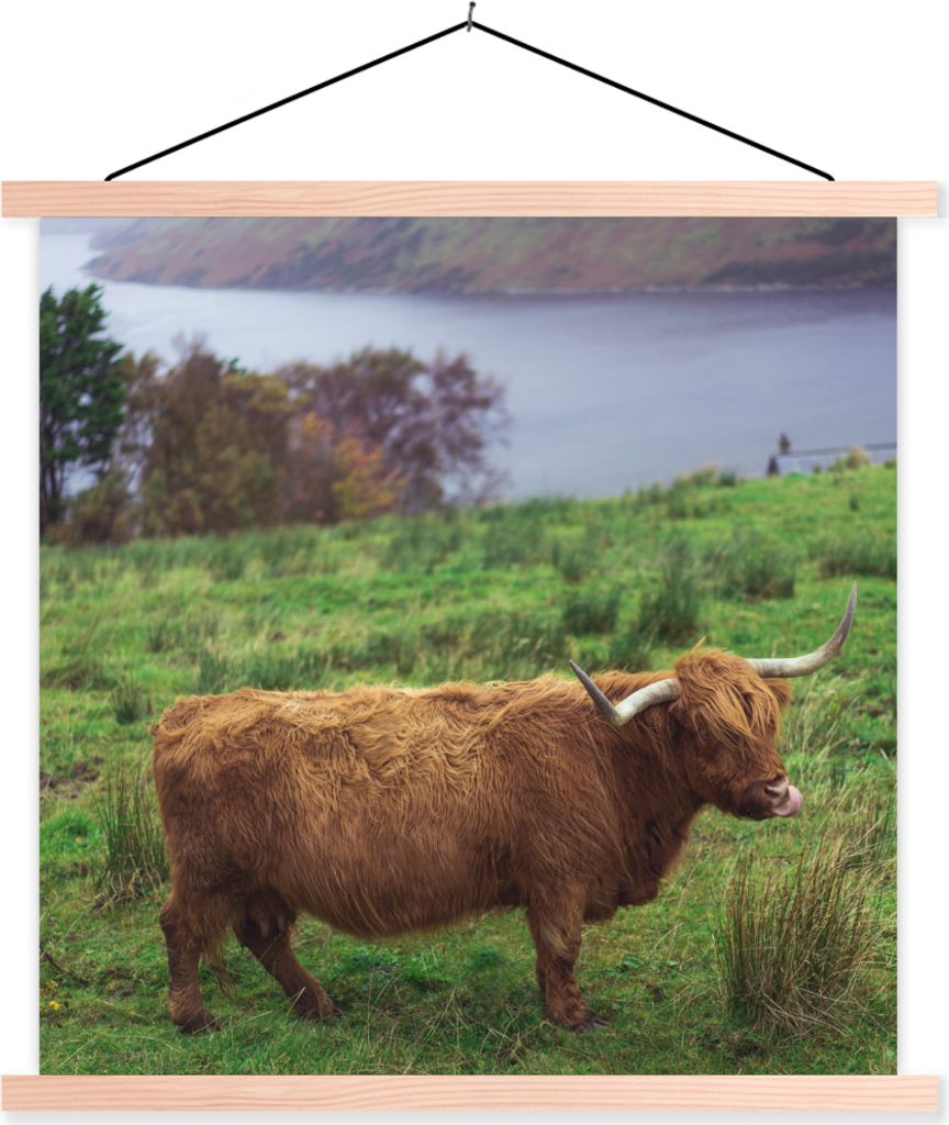MuchoWow Textilposter Schottische Hochlandrind - Gras - Wasser - Tiere 120x120 cm mit holzfarbenen Rahmen - Textil-Poster