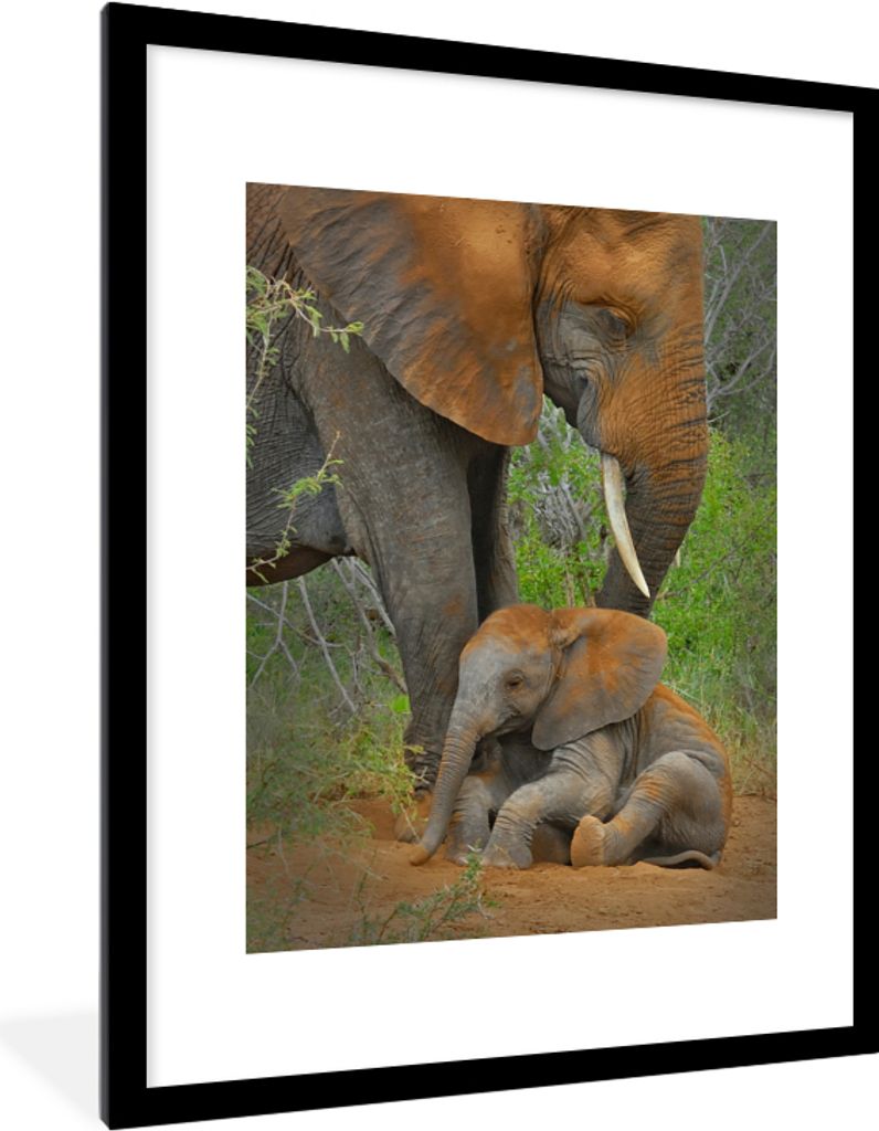 MuchoWow MuchoWow Gerahmtes Poster Elefant - Tiere - Sand - Natur 60x80 cm - Poster mit zchwarzem Bilderrahmen - Wohnzimmer - Dekorationen - Pr...