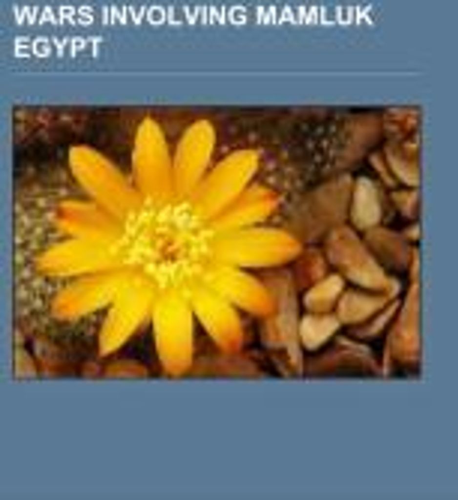 Wars involving Mamluk Egypt