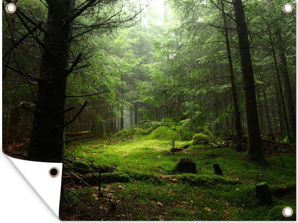 MuchoWow 80x60 cm Outdoor-Poster Gartendeko Sichtschutz Garten Poster für den Garten Frankreich - Wald - Grün