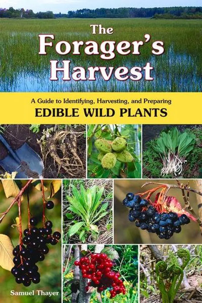 The Forager's Harvest : Guide de Botanique Pratique avec Photos Couleur
