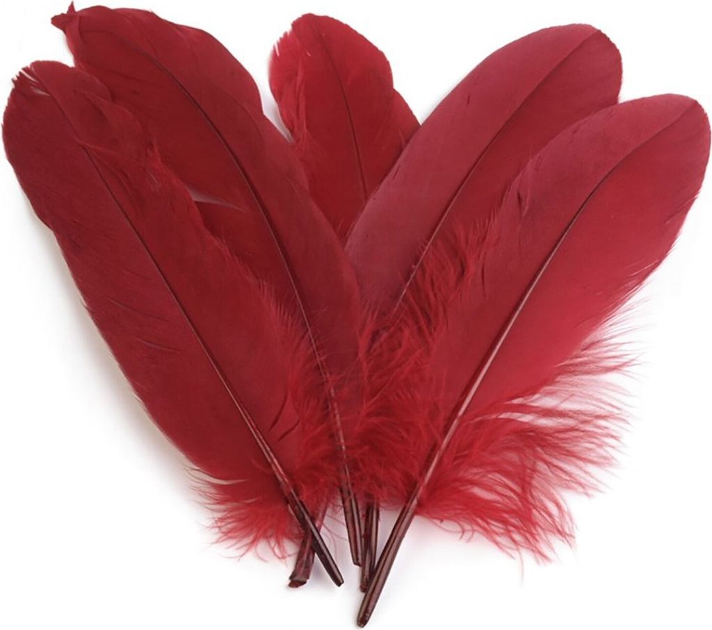 20 Entenfedern 15-21cm Bastelfedern Federn Dekofedern f. Hüte Kostüme Basteln