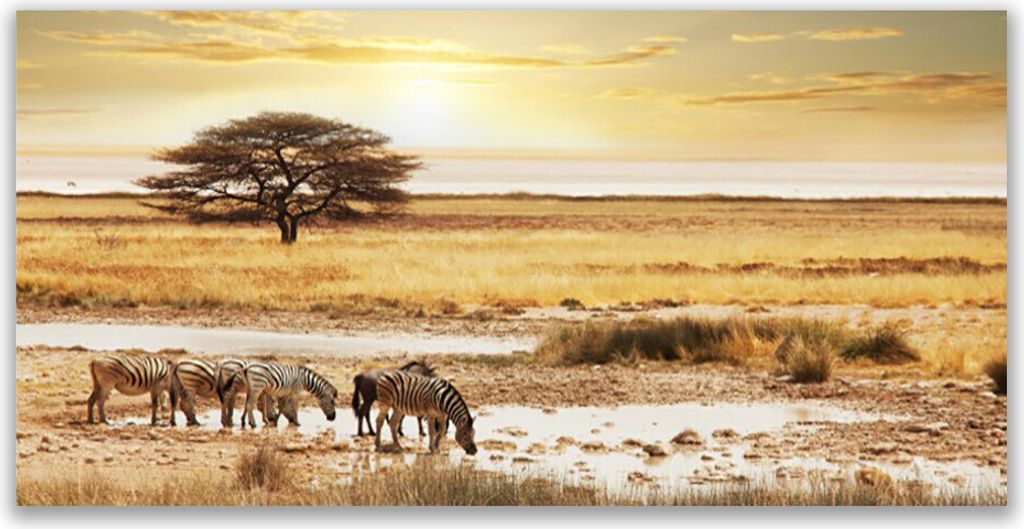 Glasbilder 140x70 Wandbild Druck auf Glas Wüste Landschaft