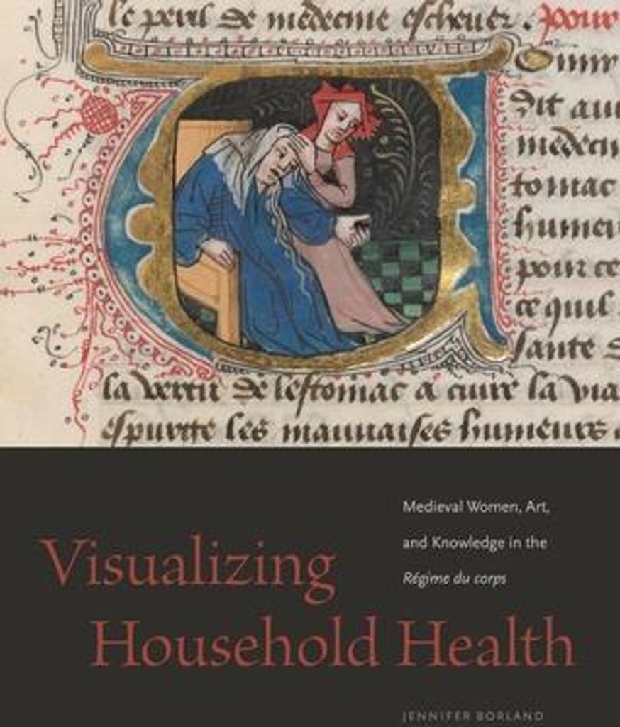 Visualizing Household Health – Lingua: Inglese
