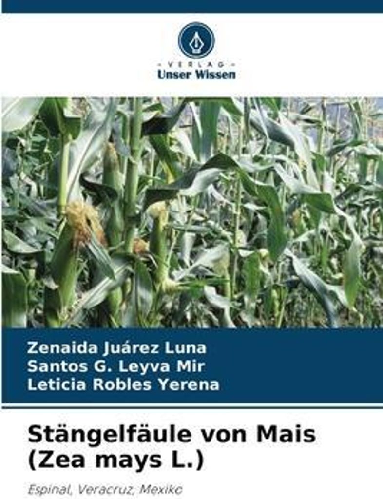 Stängelfäule von Mais (Zea mays L.)