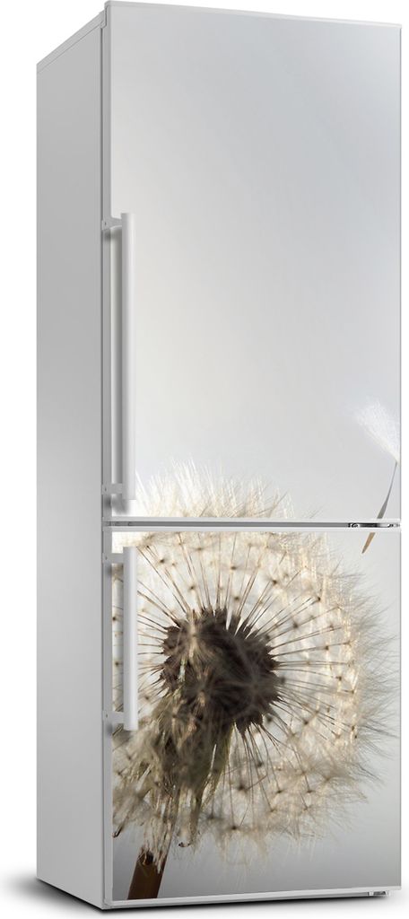 Tulup Kühlschrankdekoration - 70x190 cm - Aufkleber auf dem Kühlschrank - Löwenzahn