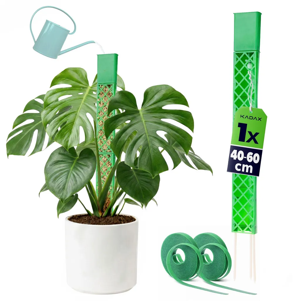 Tuteur plante grimpante pour éviter l'affaissement support plastique durable