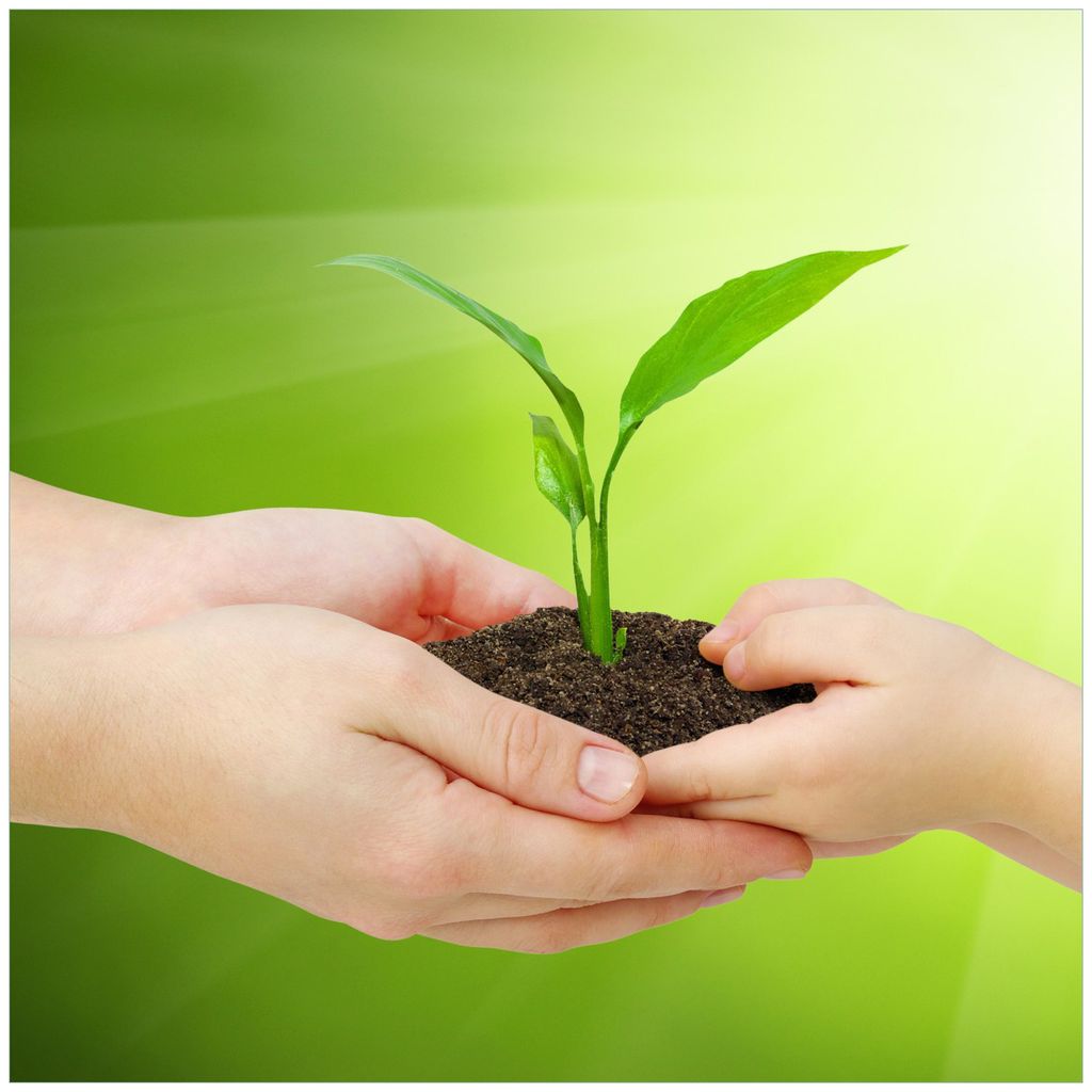 Wallario Möbeldesign / Aufkleber, geeignet für Ikea Lack Tisch - Eine zarte Pflanze - von Hand zu Hand in 55 x 55 cm