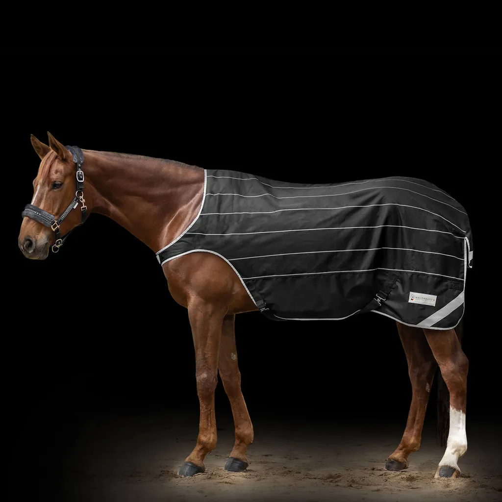 Couverture de marcheur cheval Waldhausen Reflex imperméable et chaude - 2