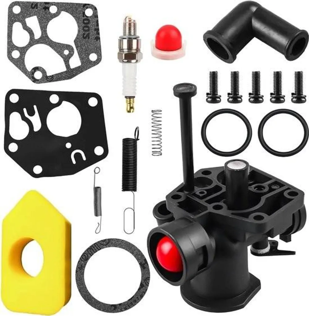 Kit carburation complet Briggs & Stratton avec filtre et ressorts
