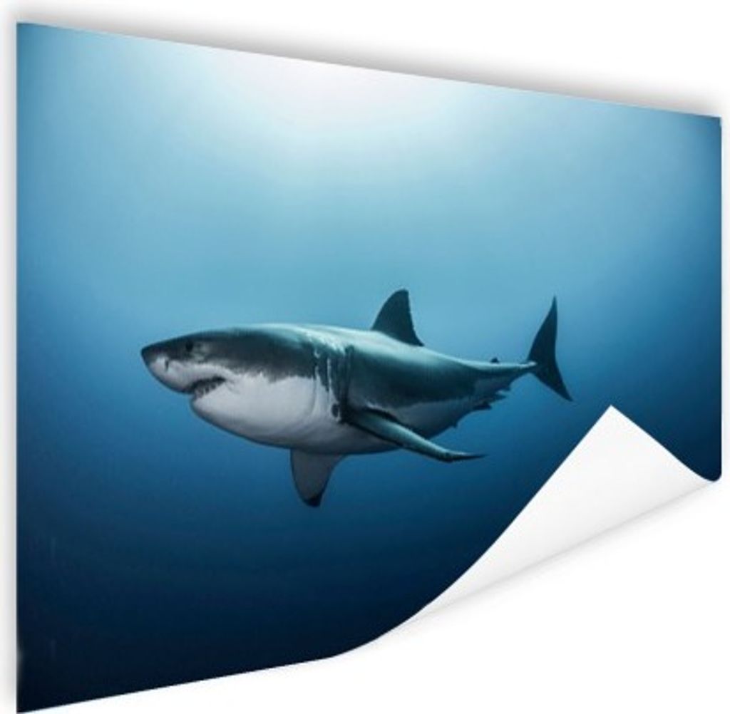 MuchoWow Poster Seitenansicht Großer Weißer Hai 180x120 cm - Fotoplakat