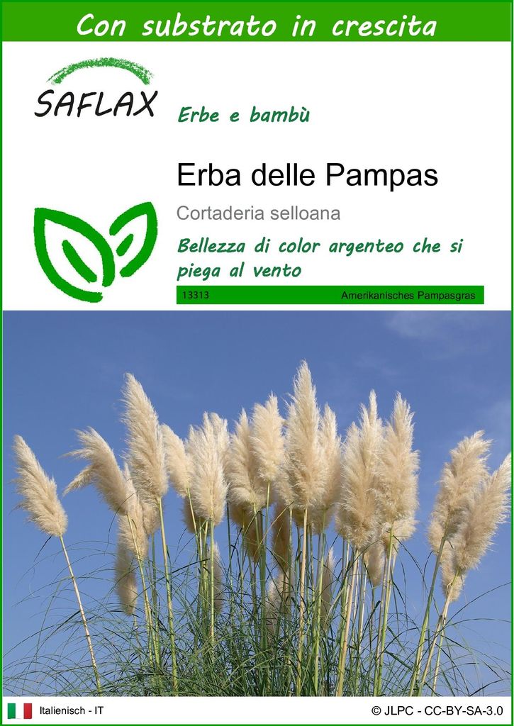 SAFLAX  - Erba delle Pampas - 200 semi - Con substrato - Immagine del prodotto 