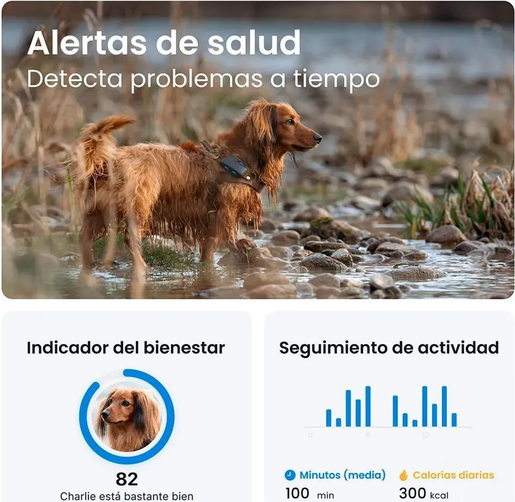 Traceur GPS pour chien Tractive DOG 6 collier de localisation marron