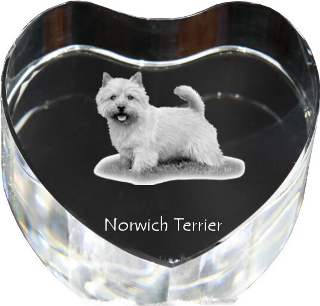 Cristal Gravé Norwich Terrier avec Effet 3D et Finition Haut de Gamme