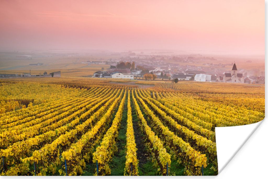 MuchoWow Poster Gelber Weinberg in den Ardennen 90x60 cm - Schlafzimmer