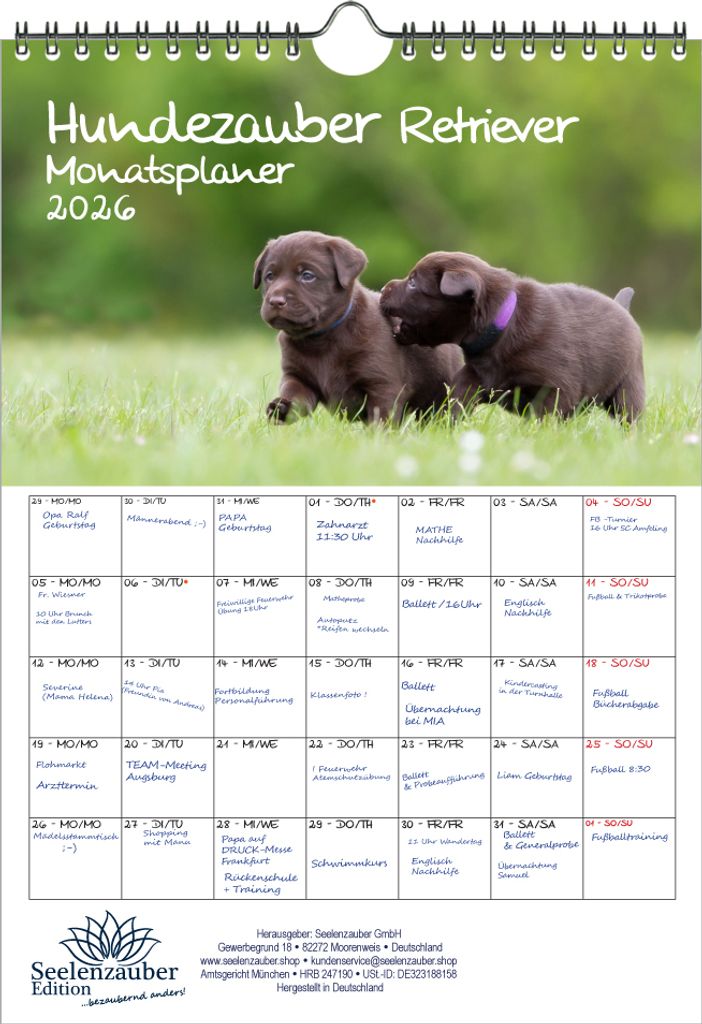 Hundezauber Retriever Planer DIN A4 Kalender für 2026 Welpen und Hunde - Seelenzauber