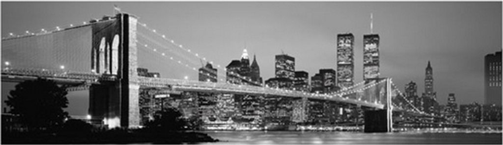 Pyramid International - Poster "New York Skyline" PM11912 (33 cm x 95 cm) (Schwarz/Weiß)