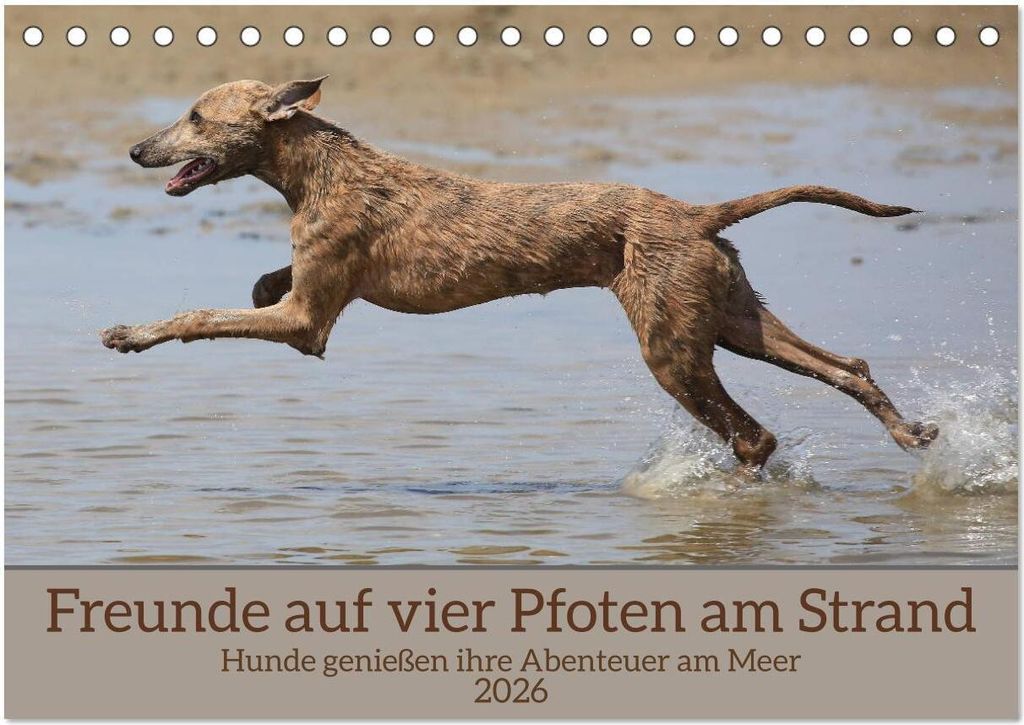 Freunde auf vier Pfoten am Strand (Tischkalender 2026 DIN A5 quer), CALVENDO Monatskalender
