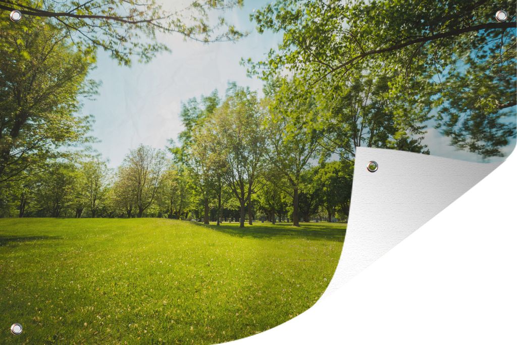MuchoWow 60x40 cm Outdoor-Poster Gartendeko Sichtschutz Garten Poster für den Garten Die grün gefärbten Bäume in einem Park