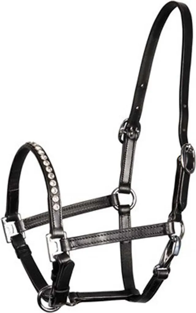 Licol Crystal Harry's Horse en cuir souple noir taille poney foal