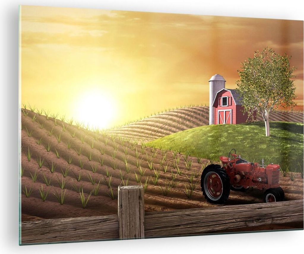 Bilder auf glas - Morgen Bauernhof Feld Plantage - 70x50cm Produktbild 