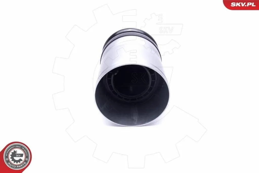 Suspension pneumatique 58SKV059 pour rénover le Range Rover Sport - 2