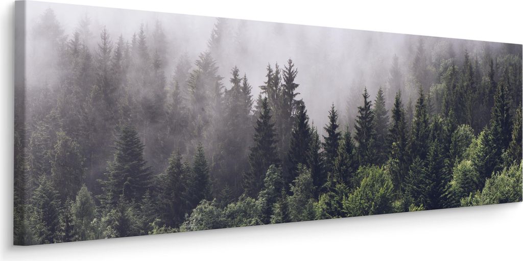 Muralo Panoramabild Canvas Wald im Nebel Bäume Pflanzen Natur 3D Wandbild Br. 145 cm x Hö. 45 cm