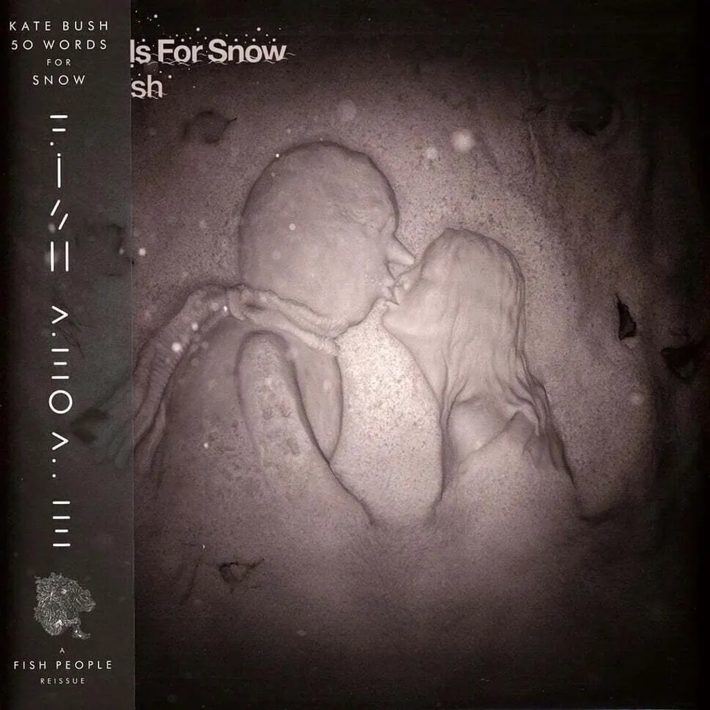 Double Vinyle Kate Bush 50 Words For Snow Blanc Edition Remasterisée