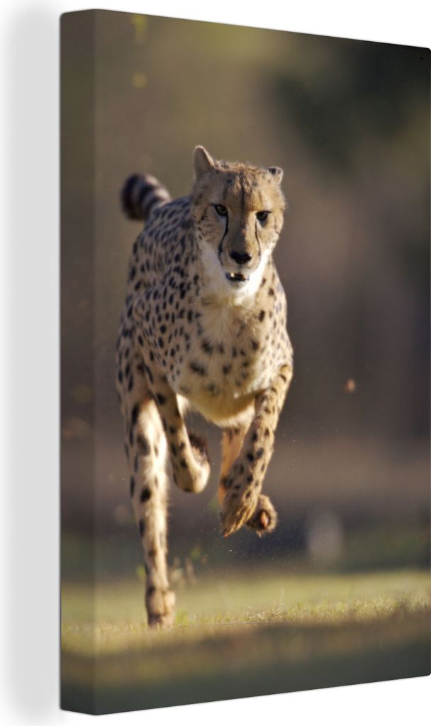 OneMillionCanvasses - Leinwandbilder - 90x140 cm, Leopard - Sprint - Pflanzen, Wandbilder Kunstdruck Wanddekoration - Foto auf Leinwand - Gemäld...