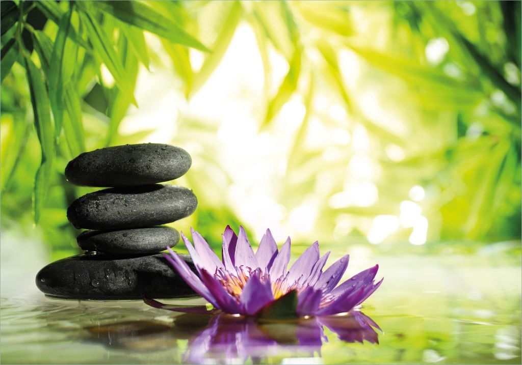 Wallario Poster - Steinstapel in schwarz mit Blumenblüte in lila, Kunstdruck Größe: 70 x 100 cm