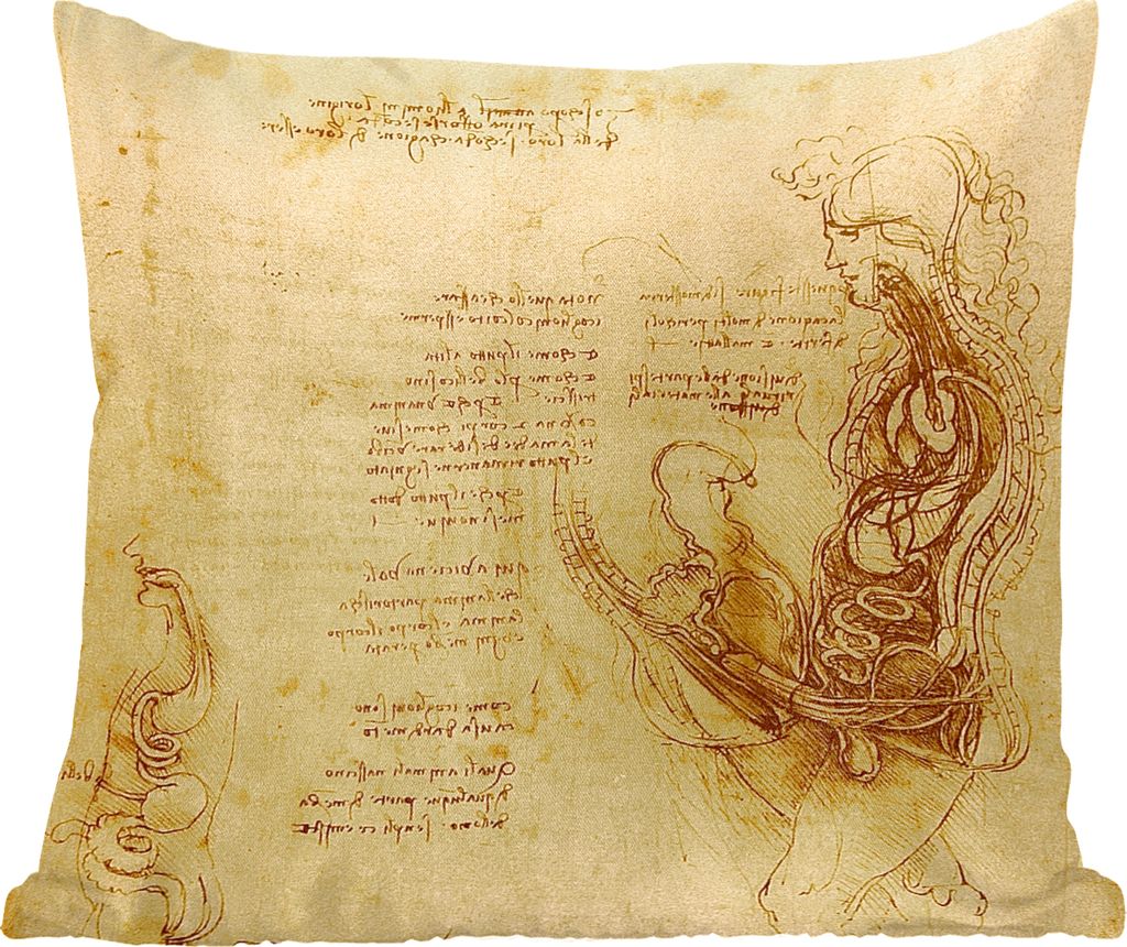 MuchoWow Zierkissen Sofakissen Wohnzimmer Dekokissen 40x40 cm Die menschliche Fortpflanzung - Leonardo da Vinci - Foto Kissen - Schlafzimmer Deko...