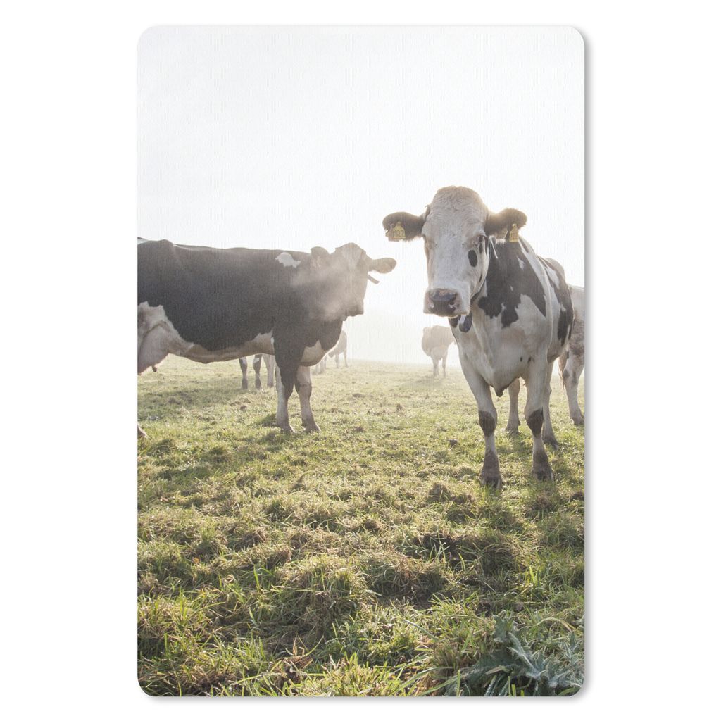 MuchoWow Mauspad Mousepad Kühe - Licht - Gras - Tiere 18x27 cm - Mousepads - Maus Mat - Pad - Mausunterlage