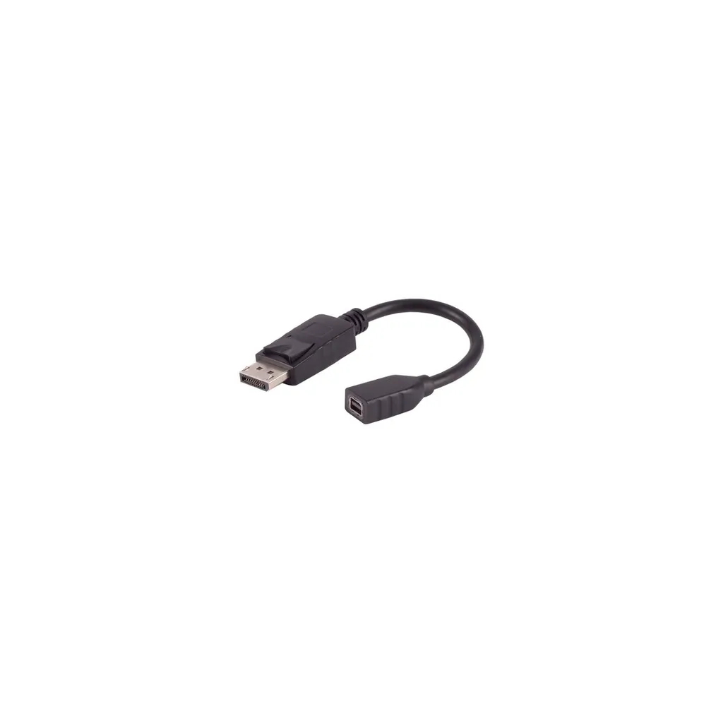 Connecter un Moniteur Mini DP sur DisplayPort 4K via Adaptateur 20 cm
