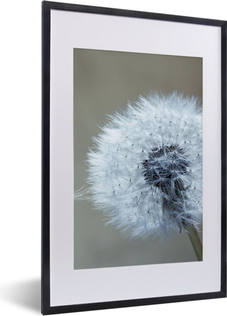 MuchoWow Gerahmtes Poster Löwenzahn - Blume - Pflanze 40x60 cm - Poster mit Schwarzem Bilderrahmen Wandposter Rahmen Foto Bilder - Poster in Rahmen
