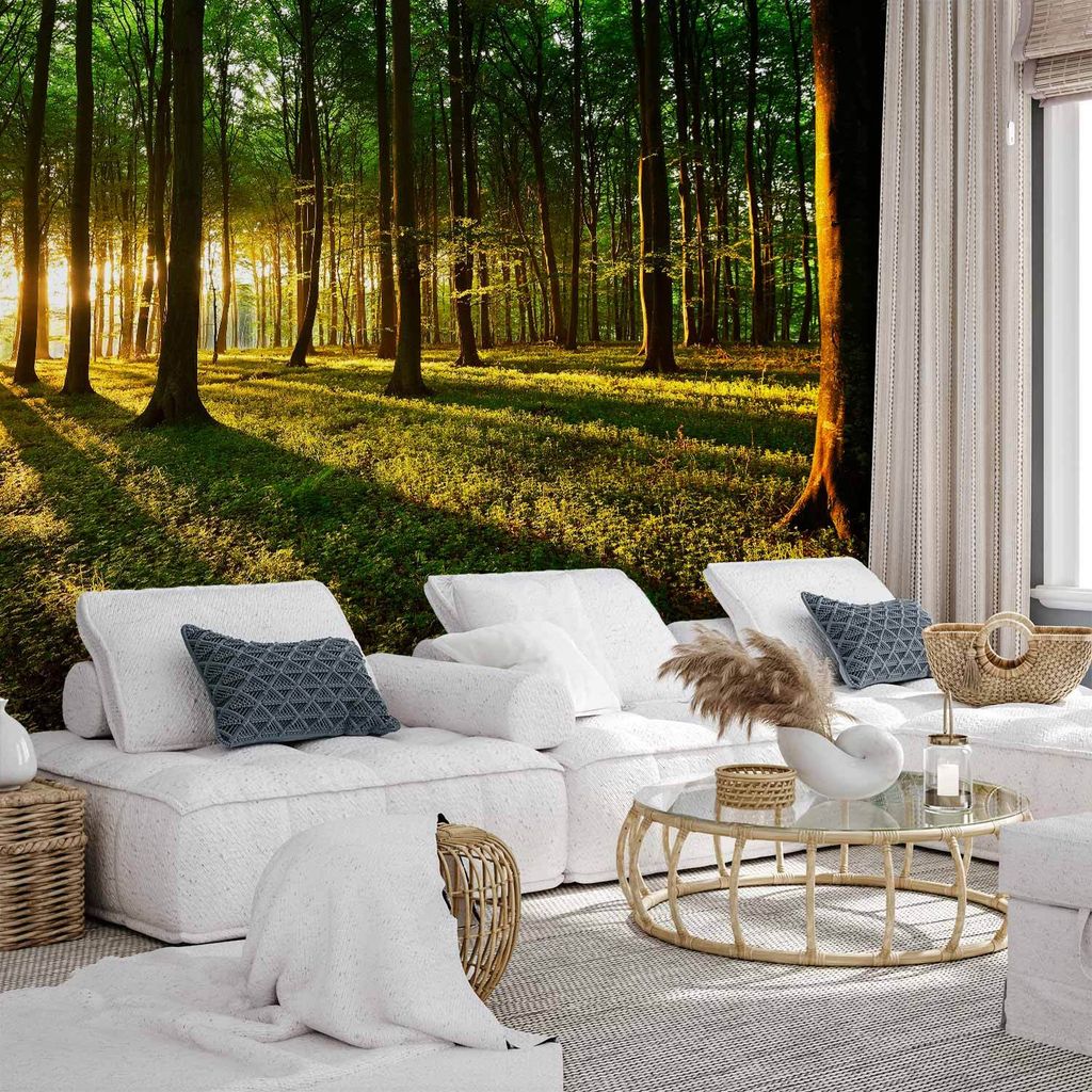 Selbstklebende Folie Fototapete - Mystical Morning 196x140 cm Landschaften c-B-0127-a-b
