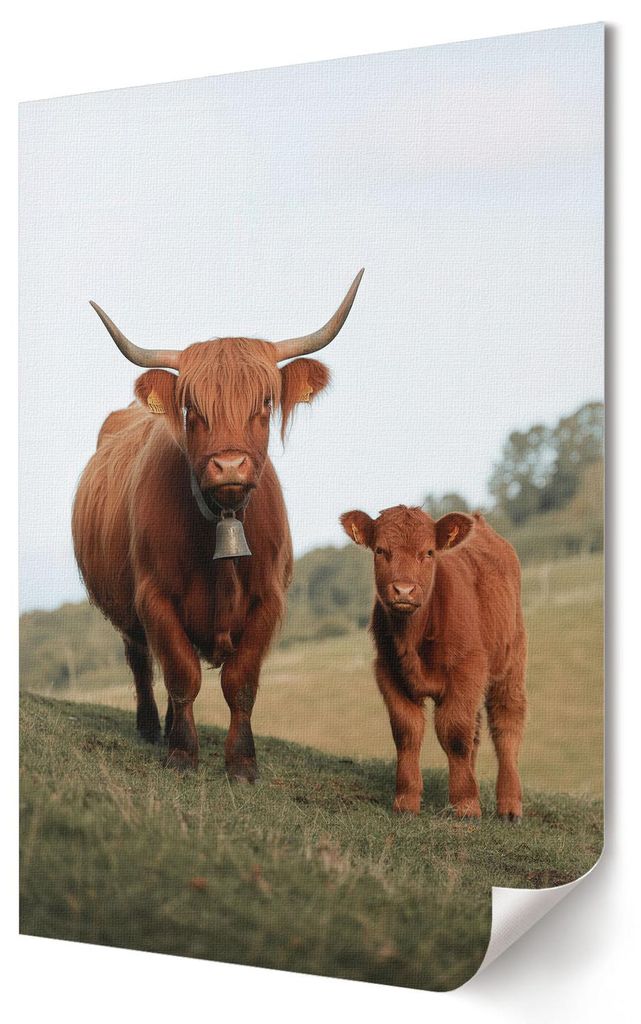 Bulle und Kalb- Kunstdruck A4 - Romantisch, rustikal- Wandbild für Wohnzimmer Schlafzimmer & Flur, Modernes Poster Wanddeko, Ungerahmt