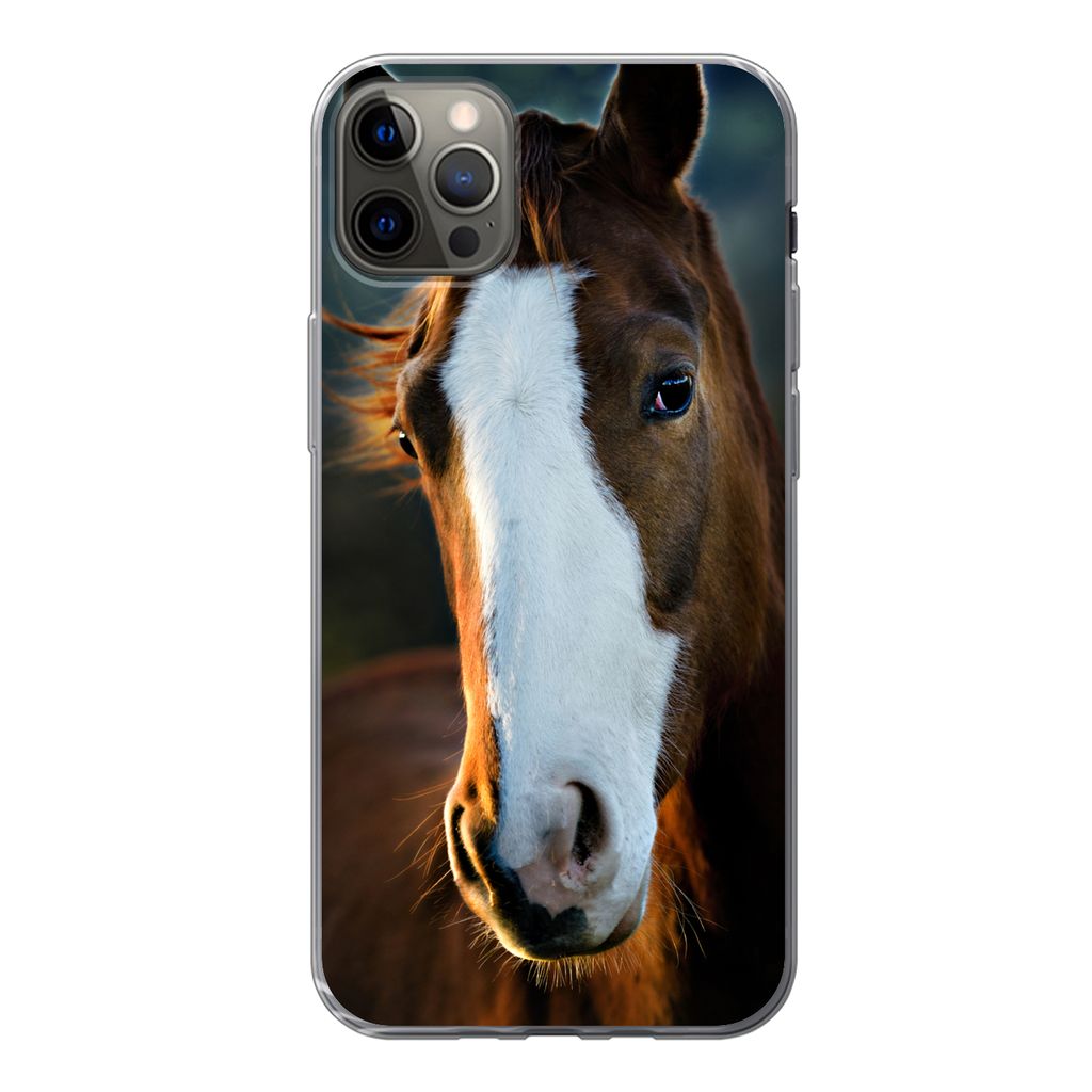 MuchoWow Handyhülle Schutzhülle Hülle für iPhone 13 Pro Max Pferd - Kopf - Licht Silikon Softcase Handy Hülle - Mobiltelefon