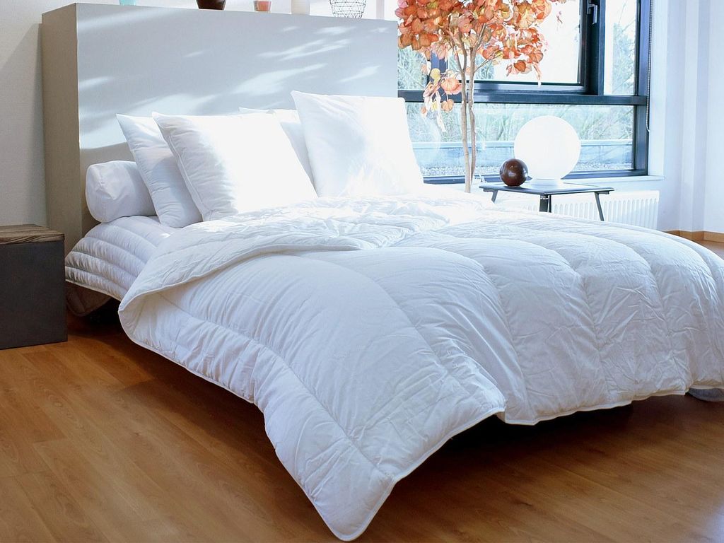 2er-Set natürliche Anti-Milben Greencare-Kissen - 60 x 60 cm - 550 g - Weiß - Baumwolle - AZYLIA